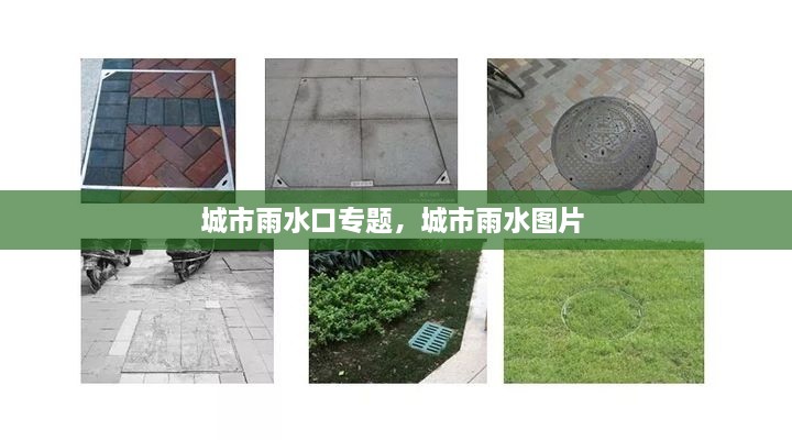 城市雨水口專題，城市雨水圖片 