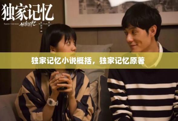獨家記憶小說概括，獨家記憶原著 