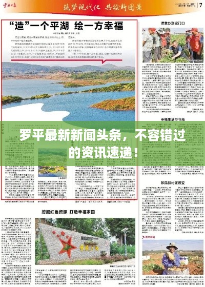 羅平最新新聞頭條，不容錯過的資訊速遞！