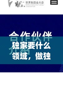 獨(dú)家要什么領(lǐng)域，做獨(dú)家代理有什么要求 