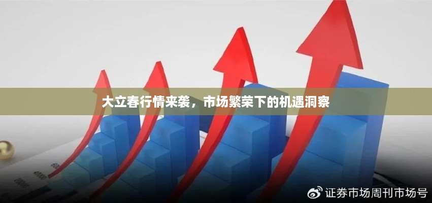 大立春行情來(lái)襲，市場(chǎng)繁榮下的機(jī)遇洞察
