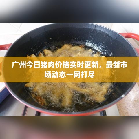 廣州今日豬肉價(jià)格實(shí)時(shí)更新，最新市場(chǎng)動(dòng)態(tài)一網(wǎng)打盡