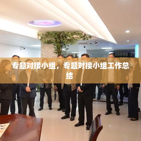 專(zhuān)題對(duì)接小組，專(zhuān)題對(duì)接小組工作總結(jié) 