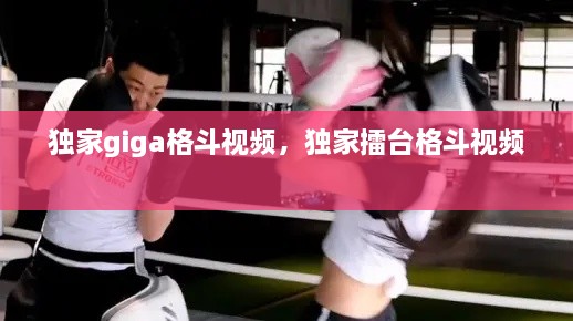 獨(dú)家giga格斗視頻，獨(dú)家擂臺(tái)格斗視頻 