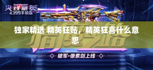 獨家精選 精英狂貼，精英狂喜什么意思 