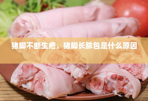 新聞動態(tài) 第13頁