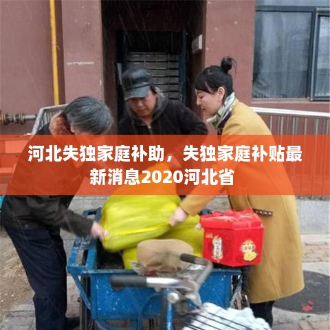 河北失獨家庭補助，失獨家庭補貼最新消息2020河北省 