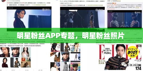明星粉絲APP專題，明星粉絲照片 