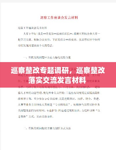 巡察整改專題調(diào)研，巡察整改落實交流發(fā)言材料 