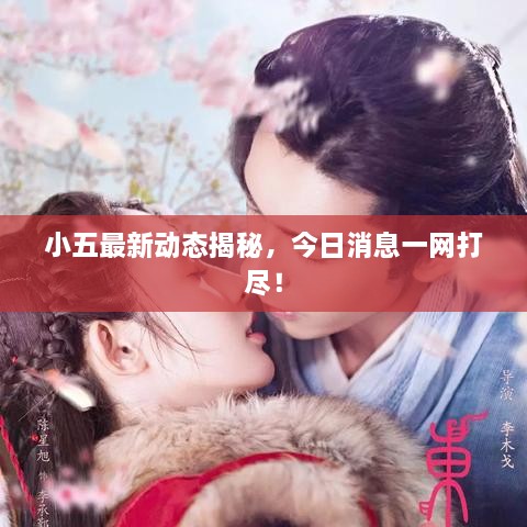 小五最新動(dòng)態(tài)揭秘，今日消息一網(wǎng)打盡！