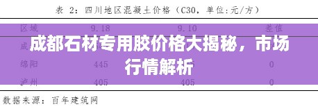 成都石材專(zhuān)用膠價(jià)格大揭秘，市場(chǎng)行情解析