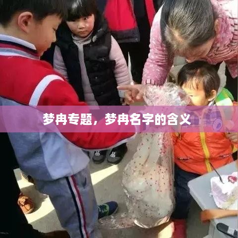 夢冉專題，夢冉名字的含義 