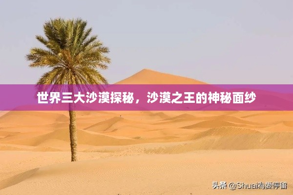 世界三大沙漠探秘，沙漠之王的神秘面紗