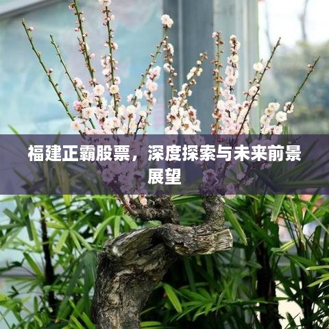 福建正霸股票，深度探索與未來前景展望