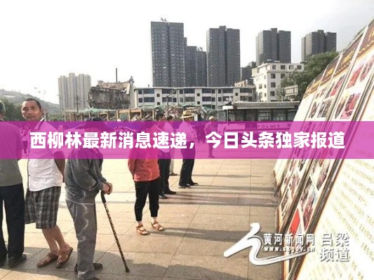 西柳林最新消息速遞，今日頭條獨(dú)家報(bào)道