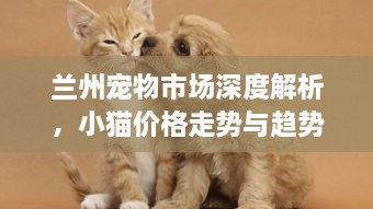 蘭州寵物市場深度解析，小貓價(jià)格走勢與趨勢探尋