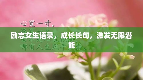 工程案例