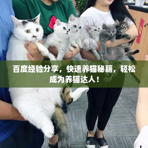 百度經(jīng)驗(yàn)分享，快速養(yǎng)貓秘籍，輕松成為養(yǎng)貓達(dá)人！