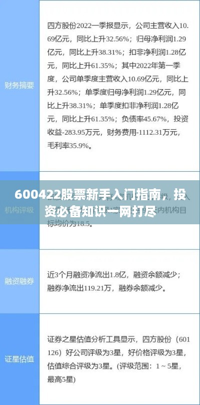 600422股票新手入門(mén)指南，投資必備知識(shí)一網(wǎng)打盡