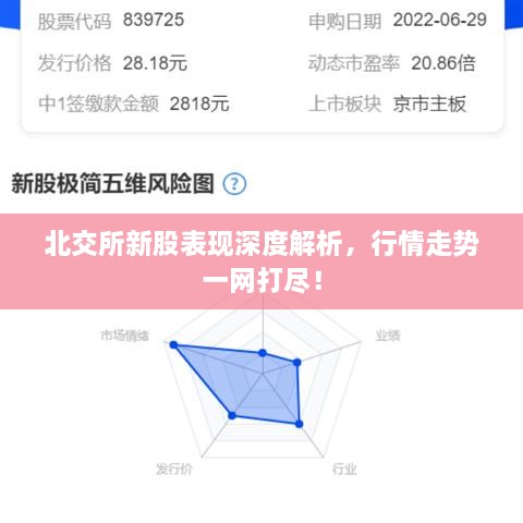 北交所新股表現(xiàn)深度解析，行情走勢(shì)一網(wǎng)打盡！