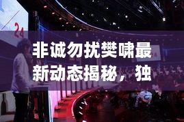 非誠(chéng)勿擾樊嘯最新動(dòng)態(tài)揭秘，獨(dú)家爆料吸引眼球！