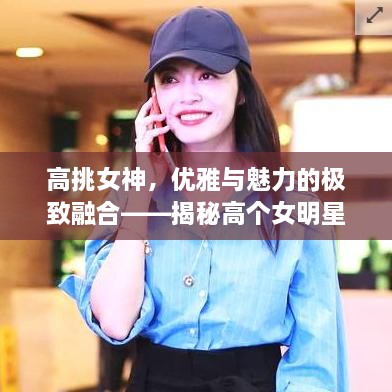 高挑女神，優(yōu)雅與魅力的極致融合——揭秘高個(gè)女明星的魅力風(fēng)采