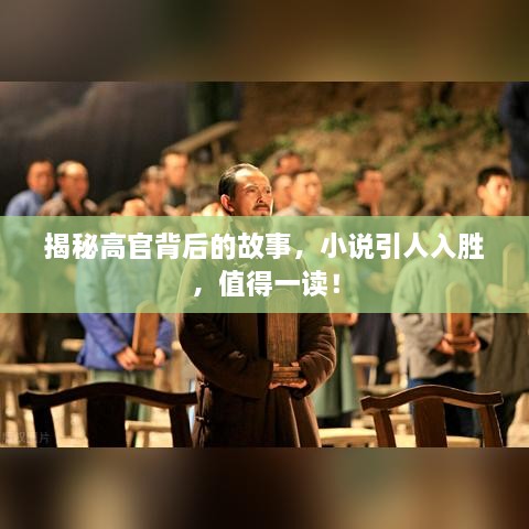 揭秘高官背后的故事，小說引人入勝，值得一讀！